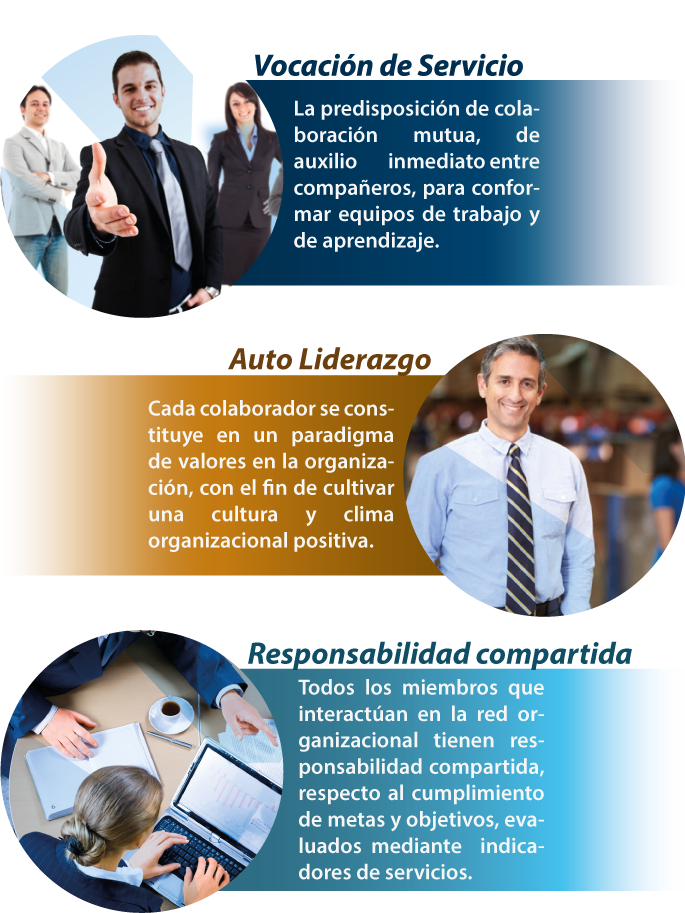 paginas-para-web1