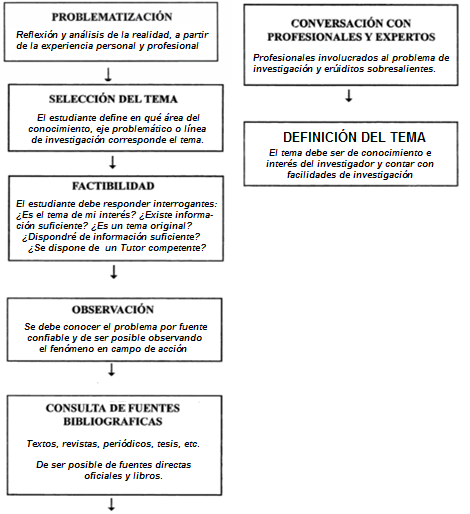 proceso de seleccion del tema